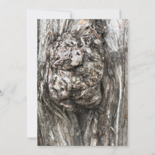 Tree trunk’s knot