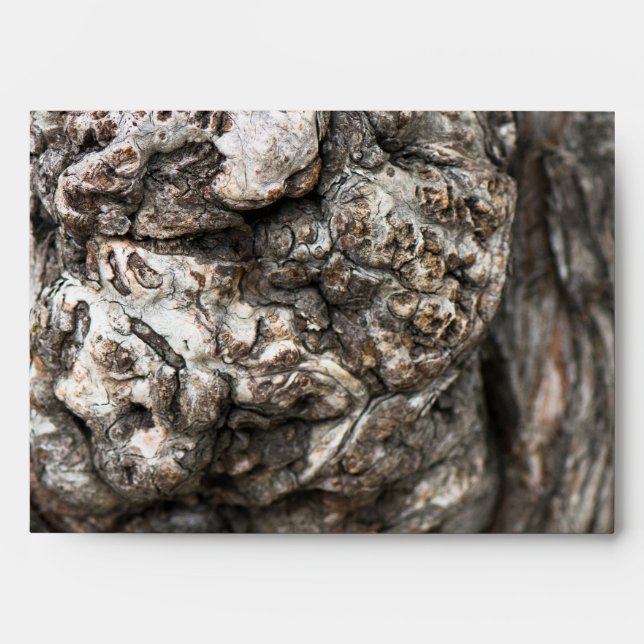 Tree trunk’s knot envelopes (Front)