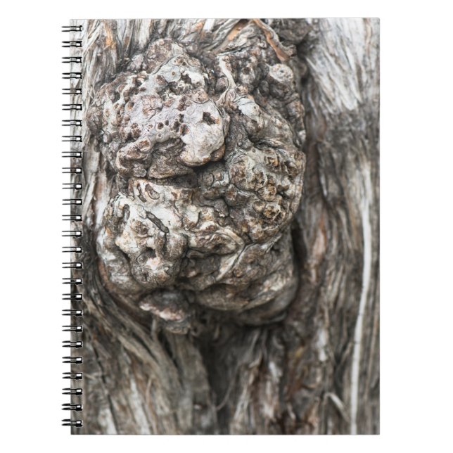 Tree trunk’s knot notebook (Front)