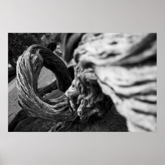 Tree Trunk Spiral B&W Photograph - Poster