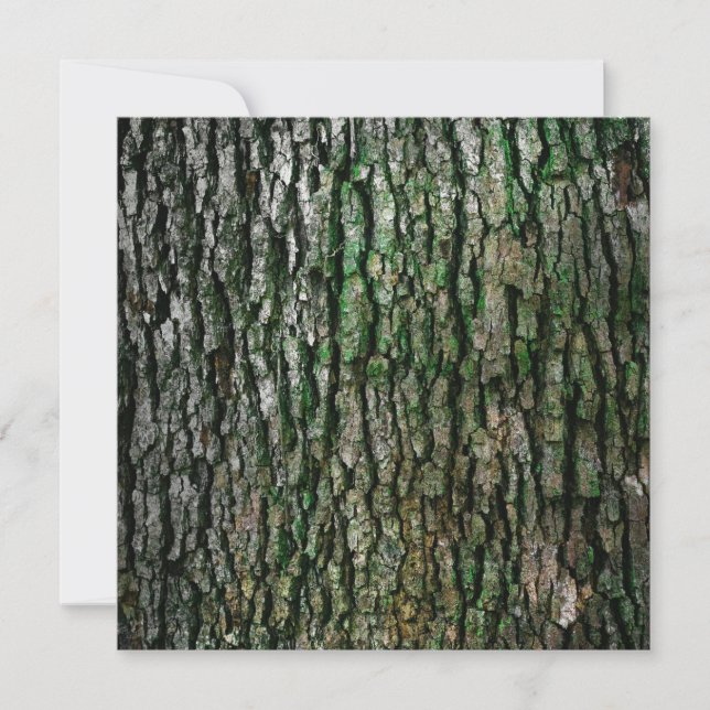 Tree Trunk (Wood Bark) Card (Front)