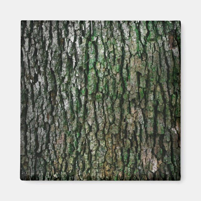 Tree Trunk (Wood Bark) Magnet (Front)