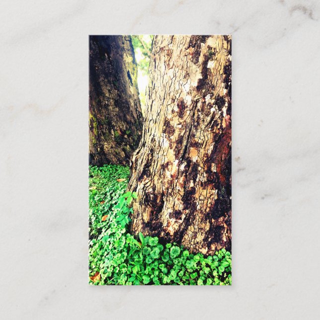 tree trunks business card (Front)