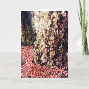 tree trunks holiday card