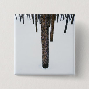 Tree Trunks in Snow 2 Inch Square Button