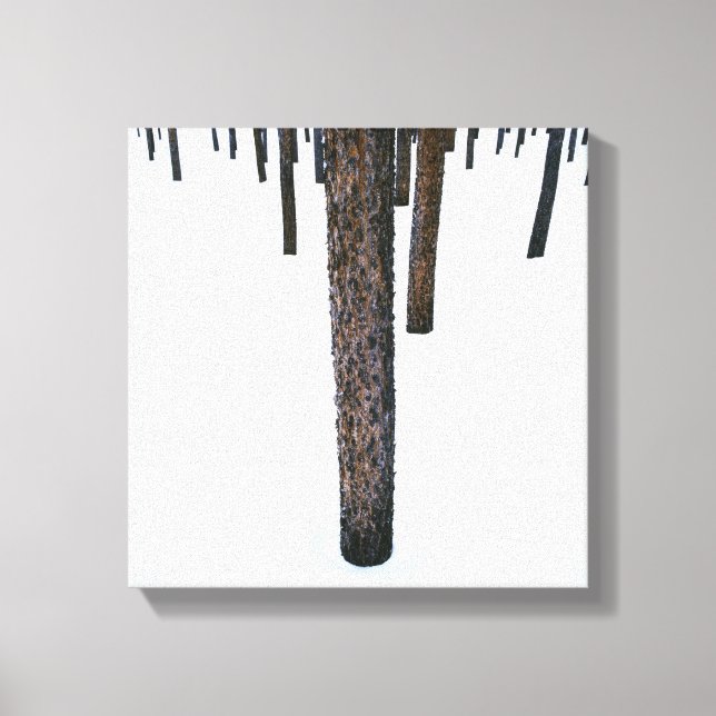 Tree Trunks in Snow Canvas Print (Front)