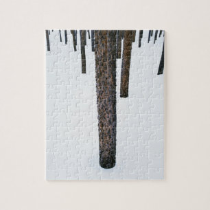Tree Trunks in Snow Jigsaw Puzzle