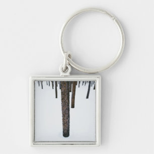 Tree Trunks in Snow Keychain