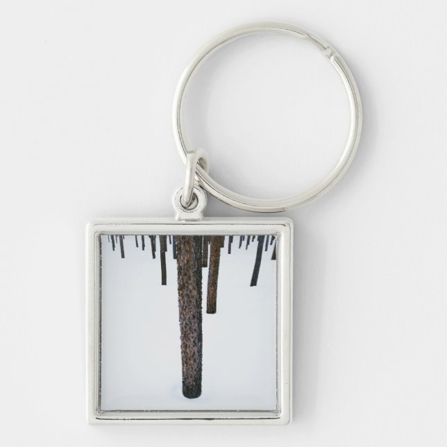 Tree Trunks in Snow Keychain (Front)