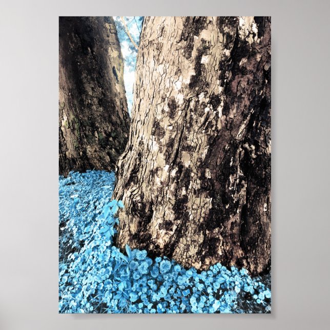 tree trunks poster (Front)