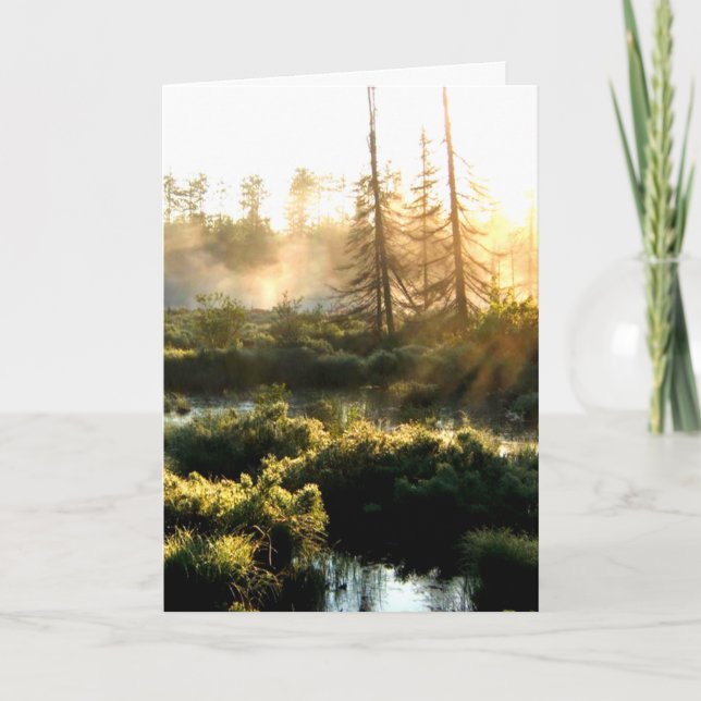 Tree Water Bog Landscape Card (Front)
