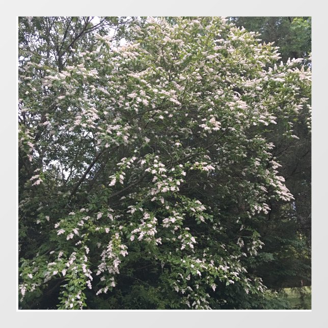 Tree Window Cling (Sheet)