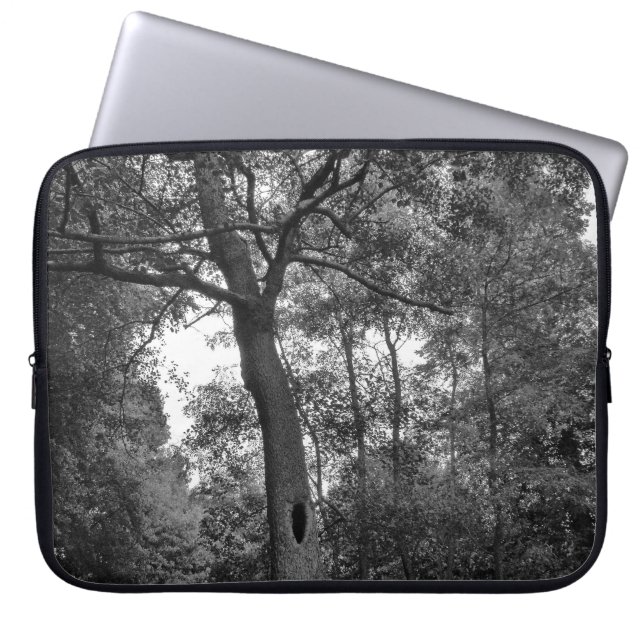 Tree with a Mysterious Hole Laptop Sleeve (Front)
