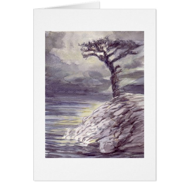 Tree With  a View (Front)