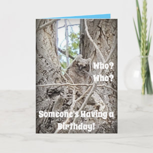Tree with Baby Owl Peering Down Through Branches Card