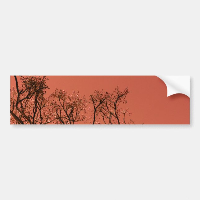 Tree with red sky bumper sticker (Front)