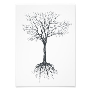 Tree without leaves photo print