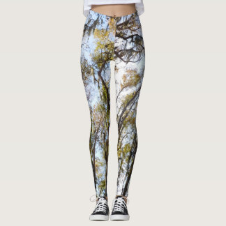 tree yoga leggings