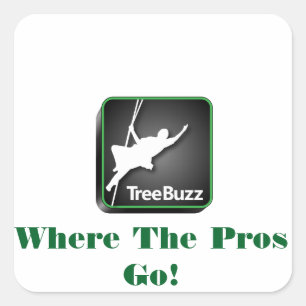 TreeBuzz square sticker