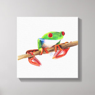 Treefrog tree frog cute animal illustration drawin canvas print