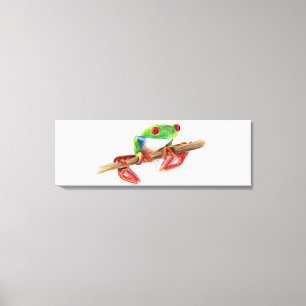 Treefrog tree frog cute animal illustration drawin canvas print