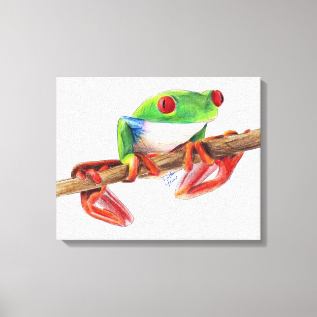 Treefrog tree frog cute animal illustration drawin canvas print (Front)