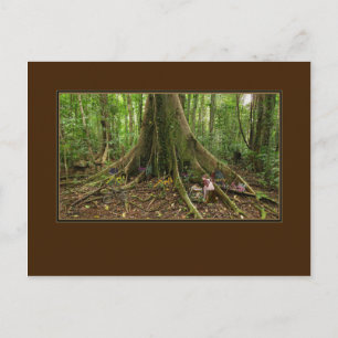 TreeHouse Montage Postcard