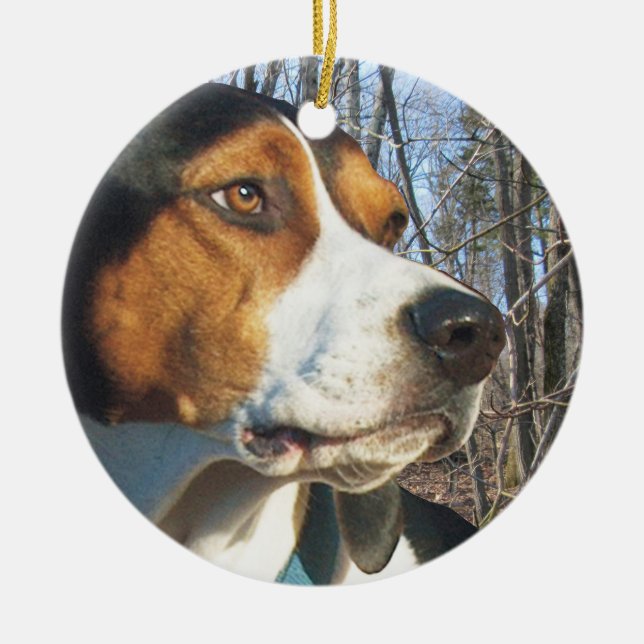 Treeing Walker Coonhound In Woods Ceramic Ornament (Front)