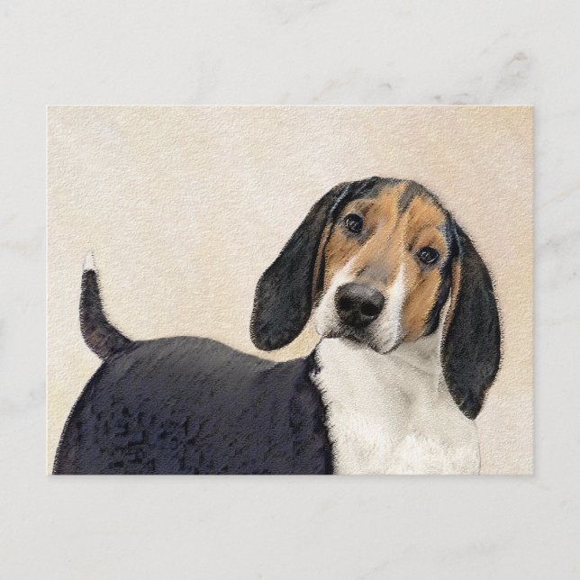 Treeing Walker Coonhound Painting - Original Art Postcard (Front)