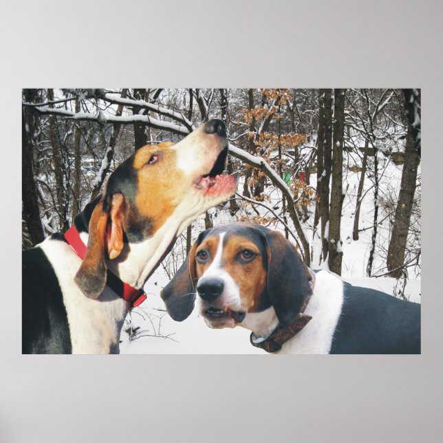 Treeing Walker Coonhound Snowy Woods Poster (Front)