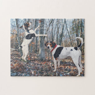 Treeing Walker Coonhounds Hunting Jigsaw Puzzle