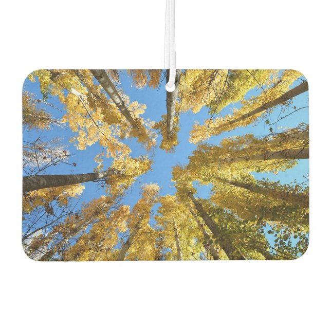 Trees Air Freshener (Front)