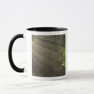 Trees alongside 7 Lakes Drive, Harriman, NY Mug