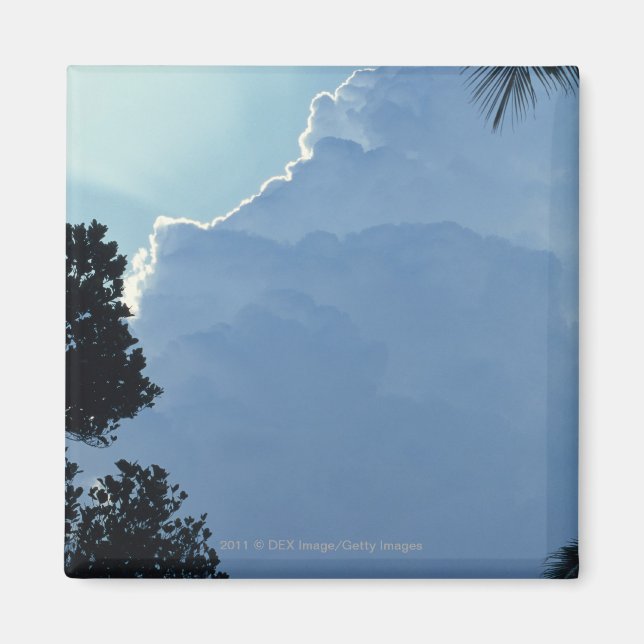 Trees and clouds magnet (Front)