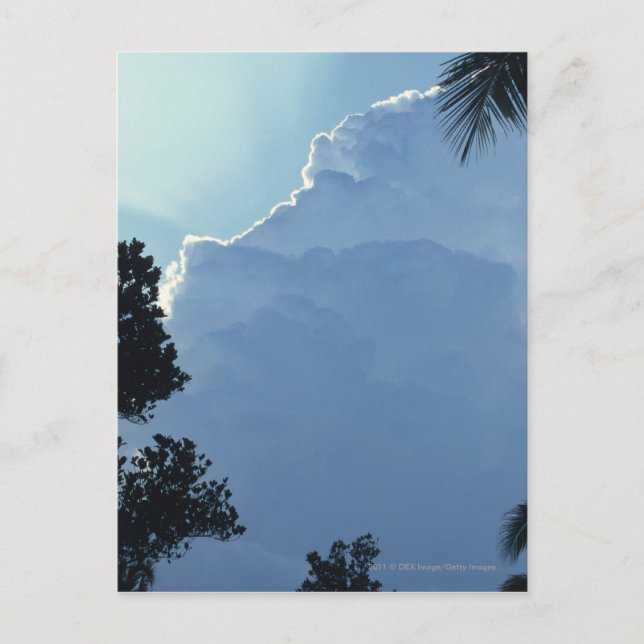 Trees and clouds postcard (Front)