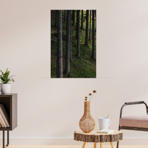 Trees and green moss poster