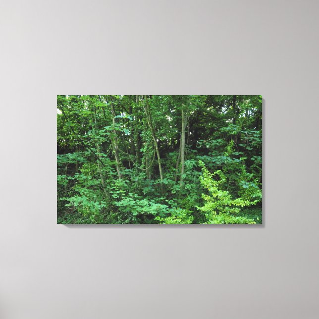 Trees and Shrubs Canvas Print (Front)