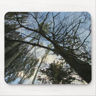 Trees and Sky or Your Photo Mouse Pad