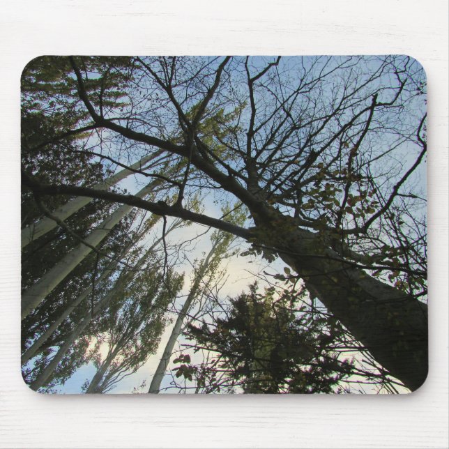 Trees and Sky or Your Photo Mouse Pad (Front)