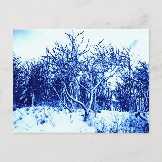 Trees and Snow Scene, Cobalt Blue Postcard (Front)