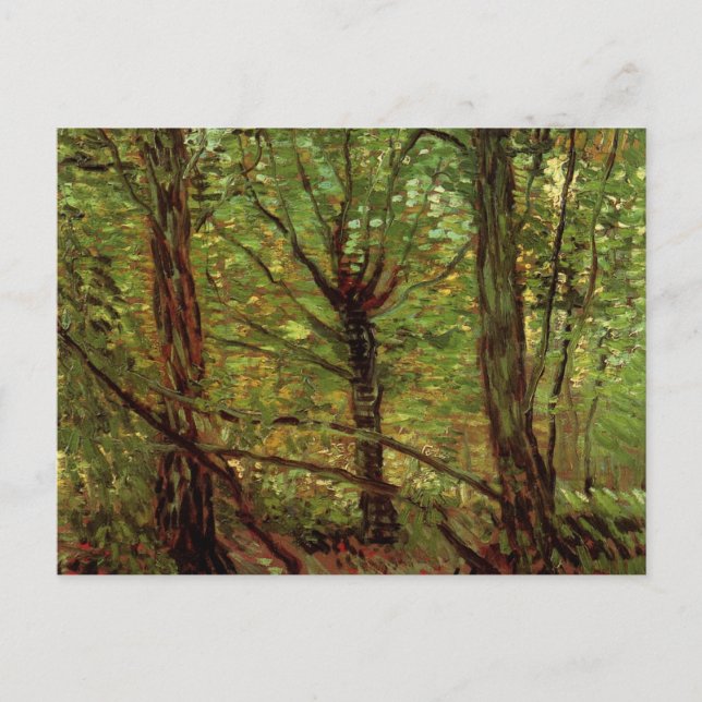 Trees and Undergrowth by Vincent van Gogh Postcard (Front)