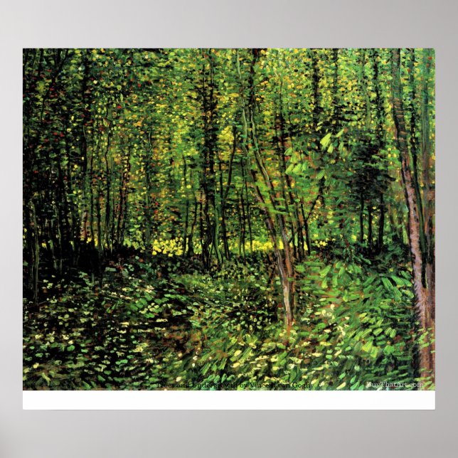 Trees and Undergrowth by Vincent van Gogh Poster (Front)