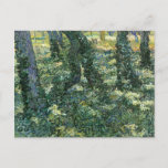 Trees and Undergrowth Vincent van Gogh Postcard<br><div class="desc">A fine art postcard,  Trees and Undergrowth (1887),  an oil painting by Vincent van Gogh (1853-1890). A forest landscape with a dappling of sunlight and tree trunks with ground cover growing up the trees.</div>