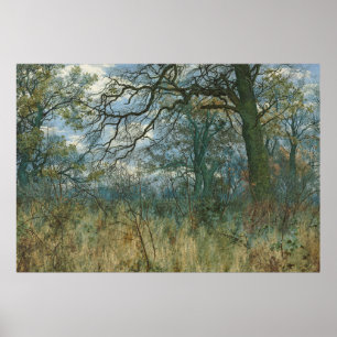Trees and Undergrowth – William Fraser Garden Poster