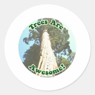 Trees are Awesome! Classic Round Sticker