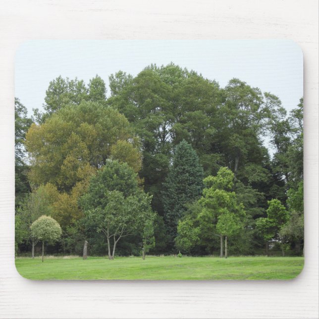 Trees at Bute Park, Cardiff Mouse Pad (Front)