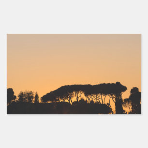 Trees at sunset in backlight in Rome Sticker
