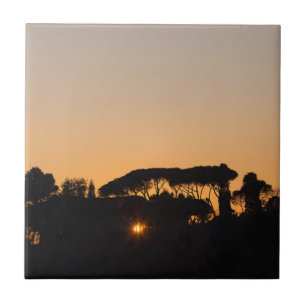 Trees at sunset in backlight in Rome Tile