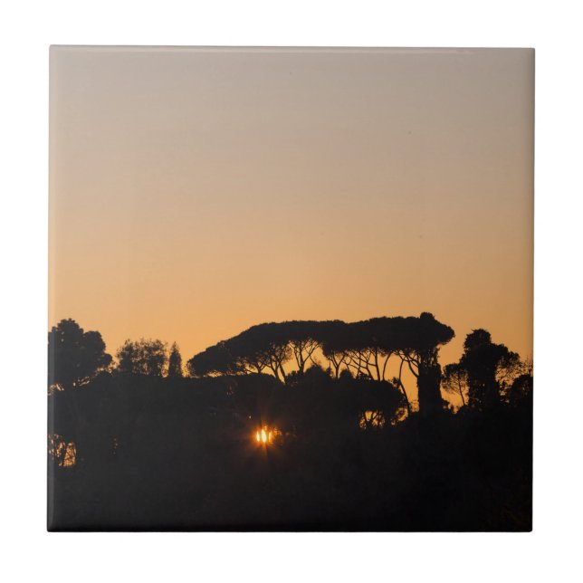 Trees at sunset in backlight in Rome Tile (Front)