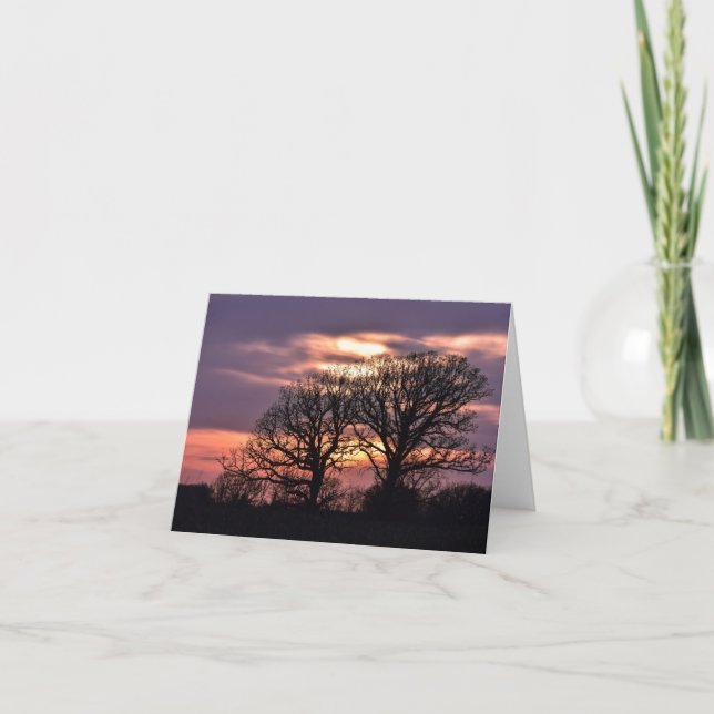 Trees at sunset note card (Front)
